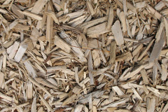 biomass boilers Roker