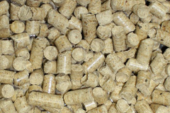 Roker biomass boiler costs